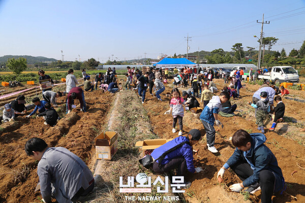 메인사진