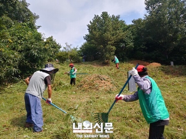 메인사진