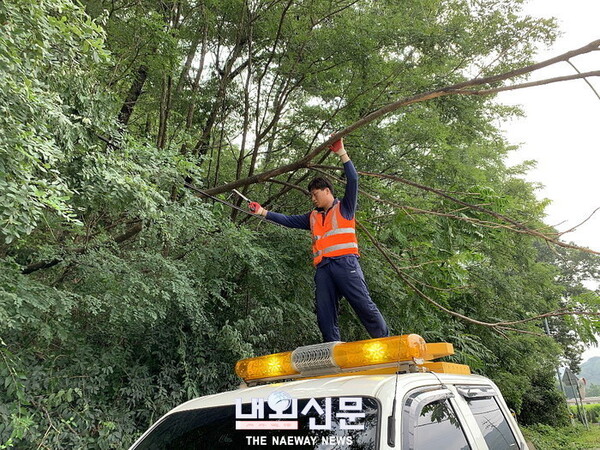 메인사진