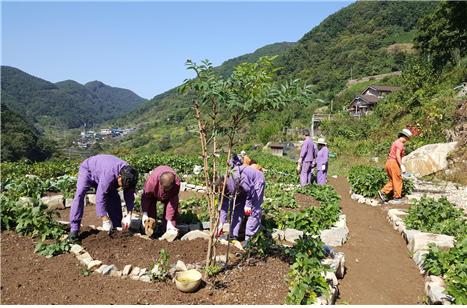 메인사진