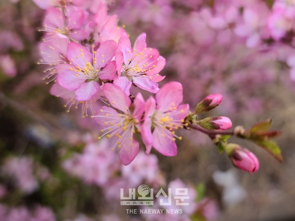 메인사진