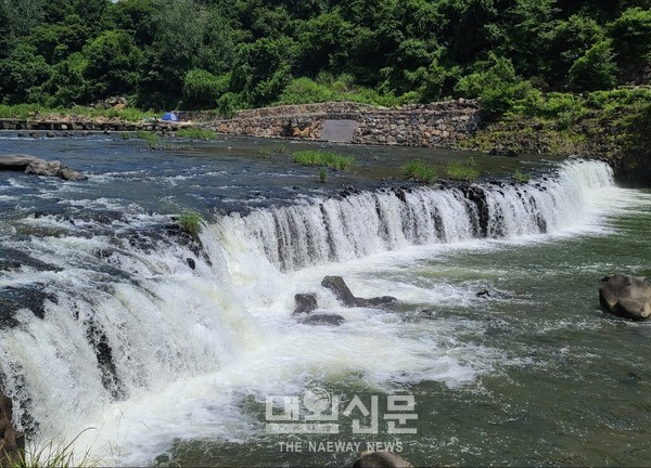 메인사진