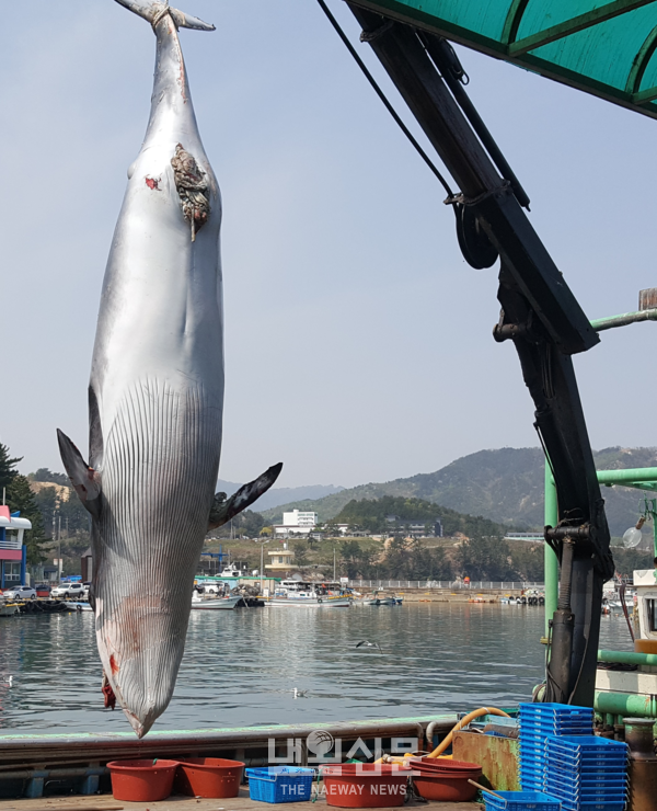 메인사진