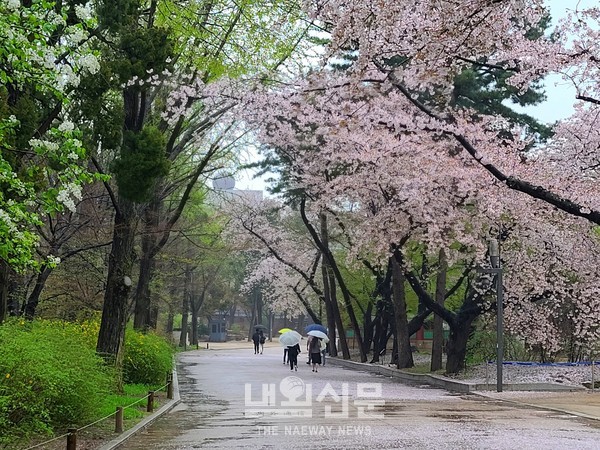 메인사진