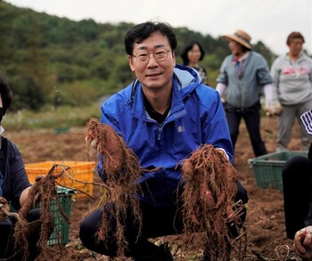 메인사진