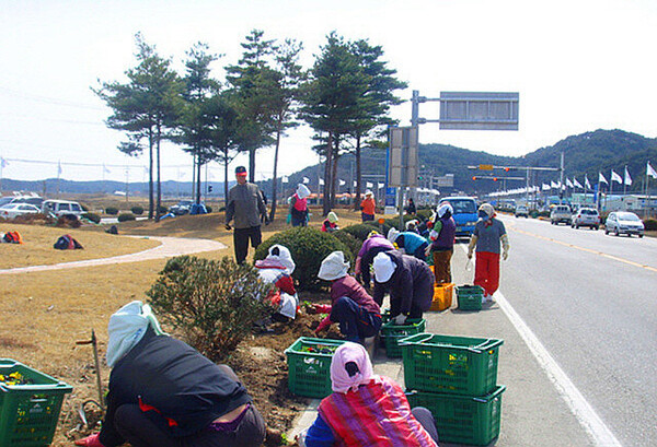 메인사진