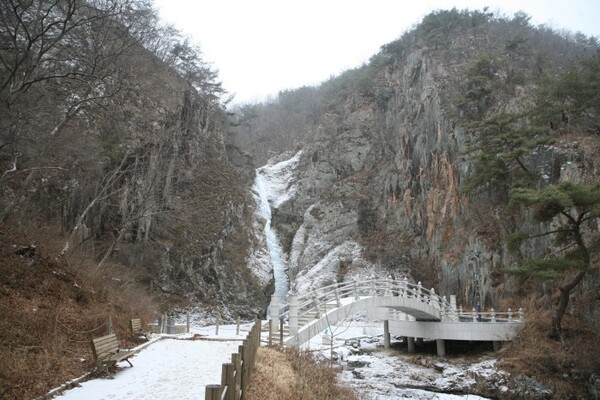 메인사진