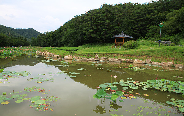 메인사진