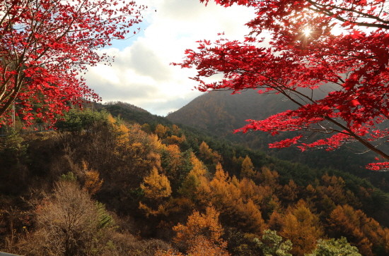 메인사진