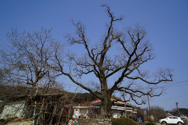 메인사진