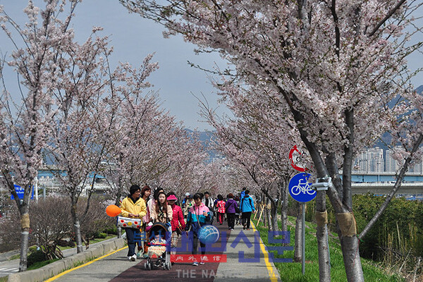 메인사진