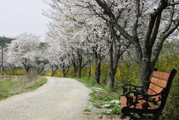 메인사진