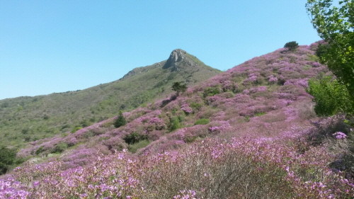 메인사진