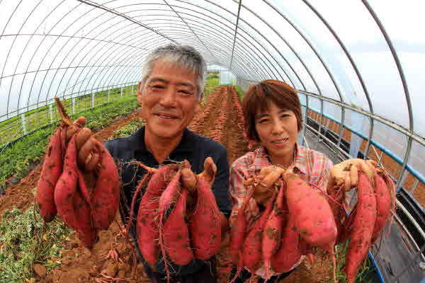 메인사진