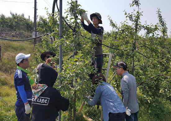 메인사진