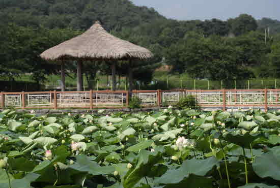 메인사진