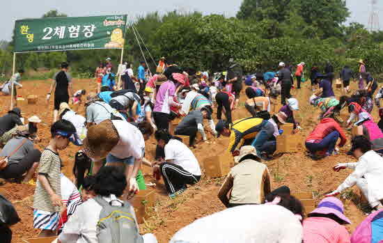 메인사진