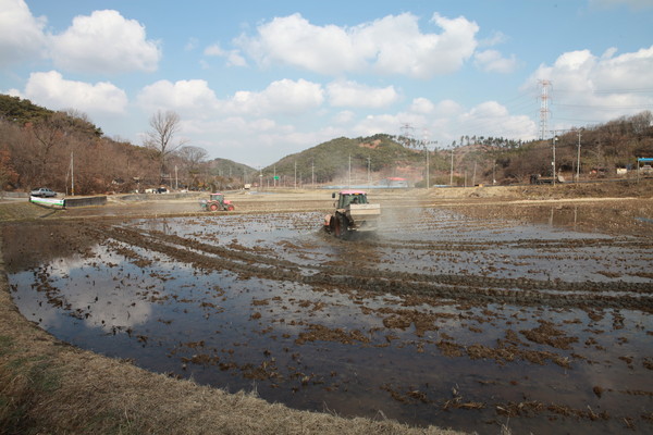 메인사진