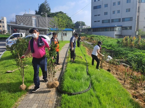 메인사진