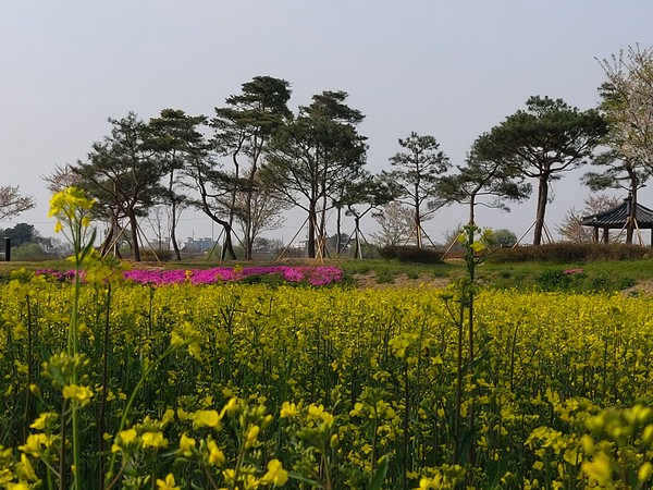 메인사진