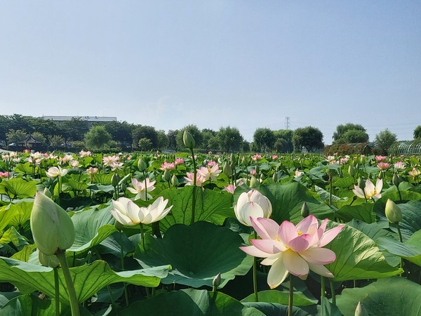 메인사진