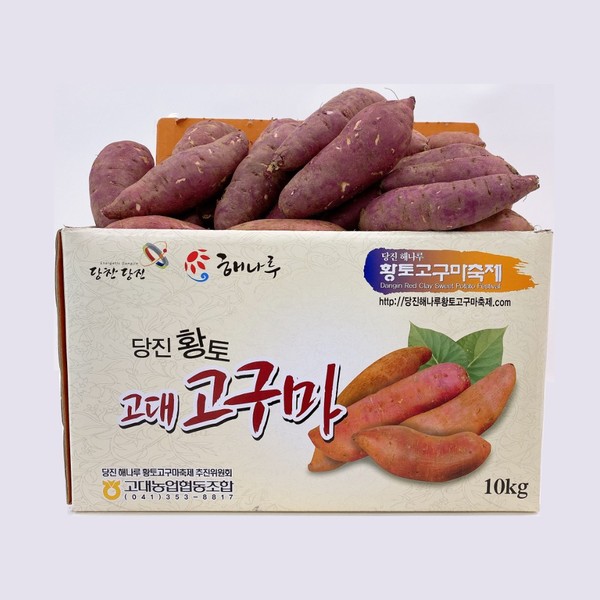 메인사진