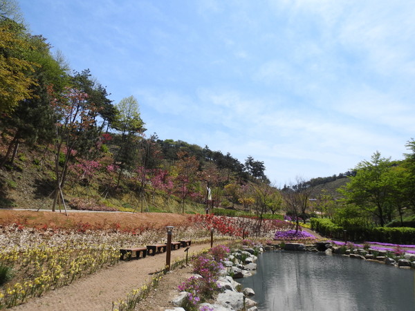 메인사진