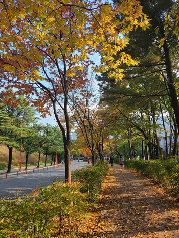 메인사진