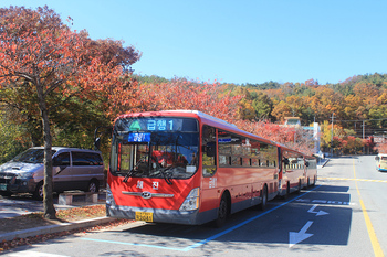 메인사진