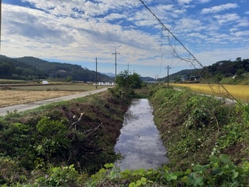 메인사진