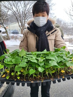 메인사진